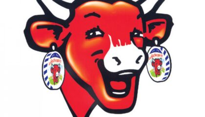 Les enjeux de l’éthique animale dans les métiers de la communication, de la publicité et de l&rsquo;audiovisuel